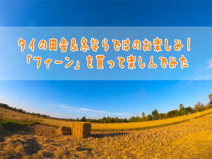 タイの田舎＆冬ならではのお楽しみ！「ファーン」を買って楽しんでみた