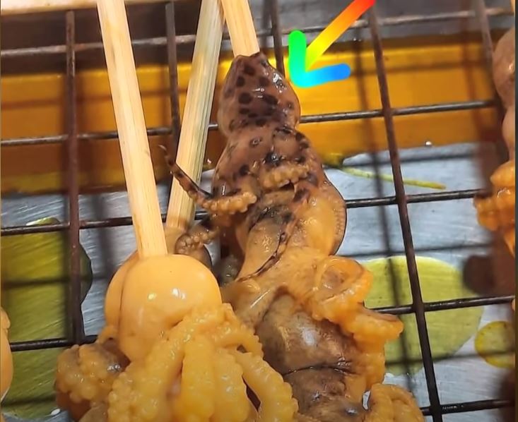 【ニュース】タイの屋台で猛毒のヒョウモンダコ串が発見される！