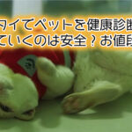 【犬猫】タイでペットを健康診断に連れていくのは安全？お値段は？