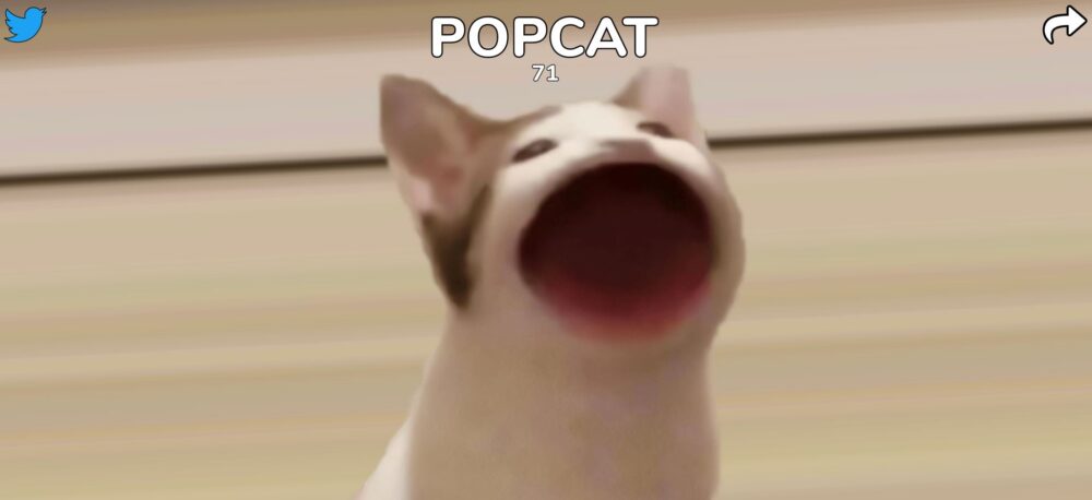 【#popcatとは？】タイの「POP CAT」クリック数がぶっちぎりの世界トップで話題に！