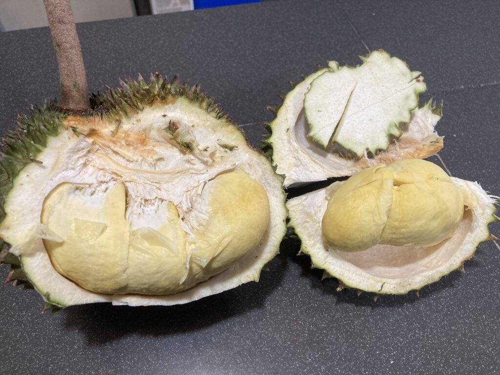 熟したドリアンと良いマンゴスチンの選び方