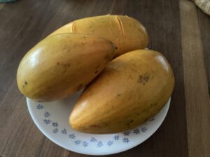 【タイの珍フルーツ】「エッグフルーツ(ม่อนไข่)モンカイ」ってどんなの?